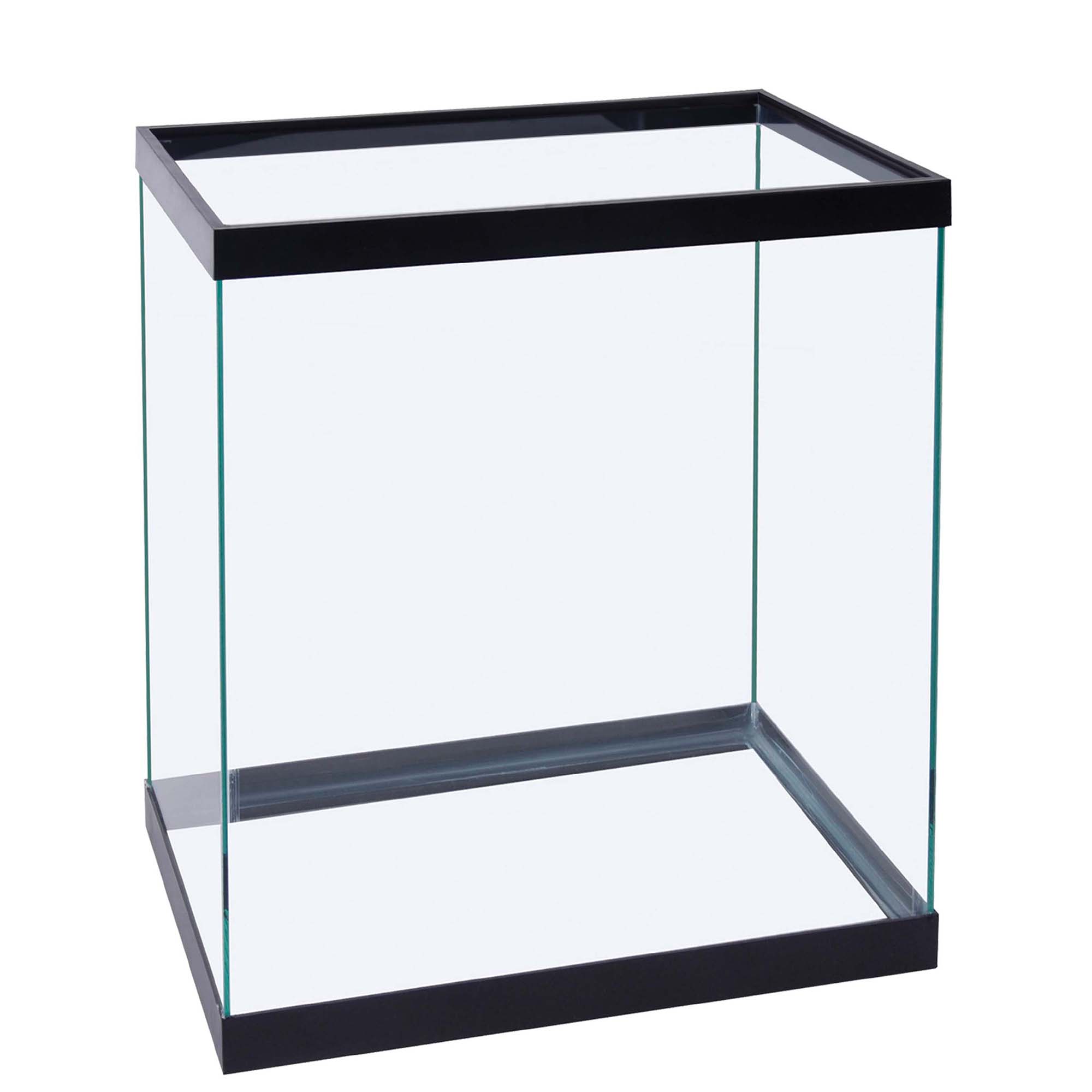 Tall aquarium 2025